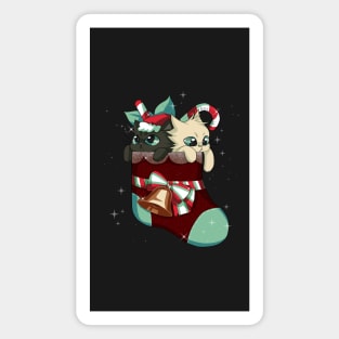 Christmas Cute Cats Magnet